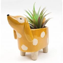 Urban Products Spotty Dog Planter Medium - Orange NEW ARRIVALS