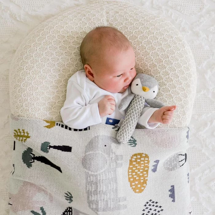 Di Lusso Living Asher Animals Baby Blanket