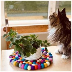 Sheepish Design NZ Wool Pot Stand / Trivet – Rainbow Kiwiana